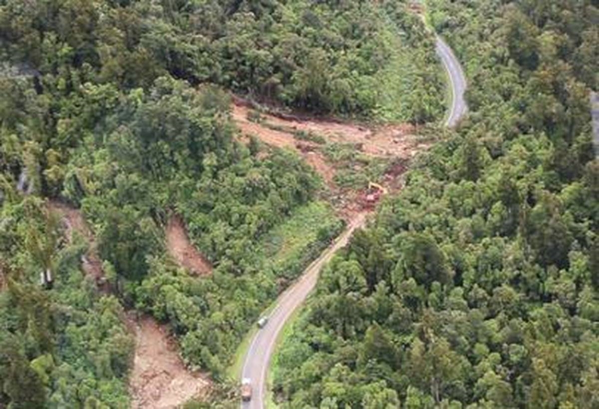 A picture containing tree, outdoor, train, track Description automatically generated